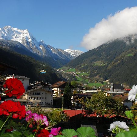 Haus Tasser Mayrhofen Kültér fotó